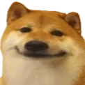 dogesh