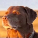 emoji_5 Discord Emoji | Axᴇʟ