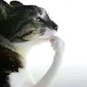 emoji_12 custom emote | Axᴇʟ