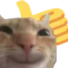 catThumbsUp