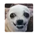 Screenshot202512042141191