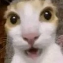 Whaaa Discord emoji