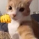 seriously Discord emoji