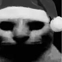 catdespair