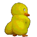 Twerk_duck