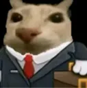Lawyer Lawyer