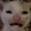 Bamerwhenhegotstuckinthemcdonald Bamerwhenhegotstuckinthemcdonald