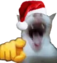 WAJAJA