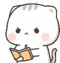 Cat_noted