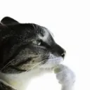 itmightragebait