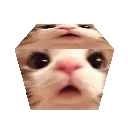 CatCube CatCube