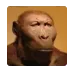 Screenshot202512051743511