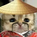 chinacat