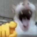 1735894315421687