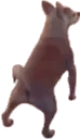 ratmodsTwerkdog ratmodsTwerkdog
