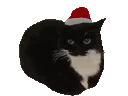 Christmas_Maxwell