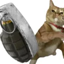 bombcat bombcat