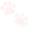 pwhitepaws