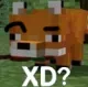 foxxd