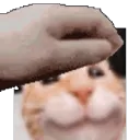 petgabe petgabe