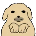 doggive doggive