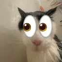 facelookcreature
