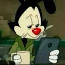 Yakko