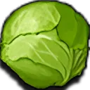 Cabbage Cabbage
