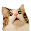 :emoji_58: