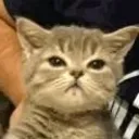 :angryasf: