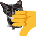 cat_bad