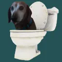 skibidi_delinquent skibidi_delinquent