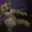 Freddy_Dance