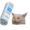 :bonk: