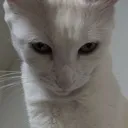 IKnowWhatYouAre IKnowWhatYouAre