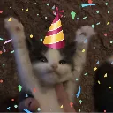 cat_yay