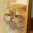 TEA_3caturgh Discord emoji
