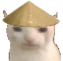nihao