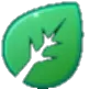 Grass