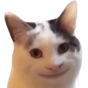 :HappyCat: