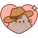 CowboySheenBlush