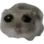 oh