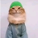 halalcat custom emote from —Cats galaxy🌠🐱—