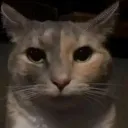 emoji_48