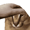 floppapet animated GIF emoji - The GOON haunts me