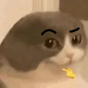 unbiasedcatchew
