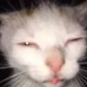 eepy