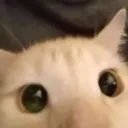 BIG_eyes