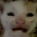 what