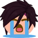 VisiSob